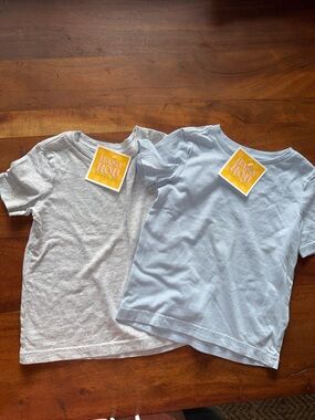 C&C California Kids Short-Sleeve Tees in Light Gray & Light Blue